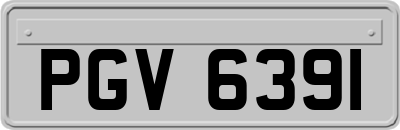 PGV6391
