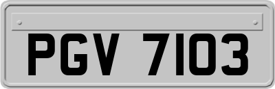 PGV7103