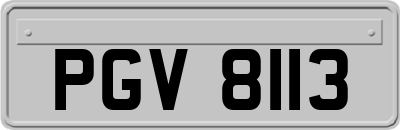 PGV8113