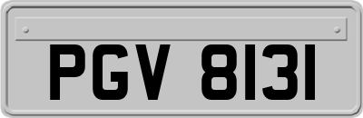 PGV8131