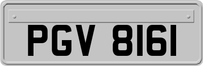 PGV8161