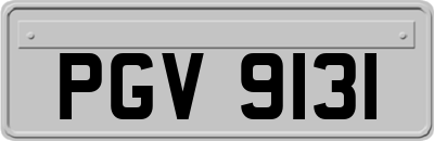 PGV9131