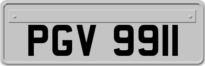 PGV9911