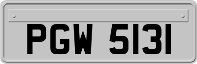 PGW5131