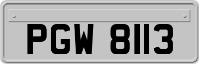 PGW8113