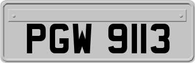 PGW9113