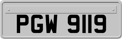 PGW9119