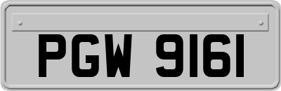 PGW9161