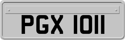 PGX1011