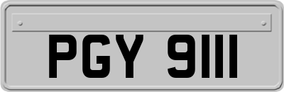 PGY9111