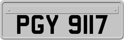 PGY9117
