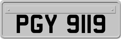 PGY9119