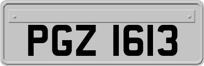 PGZ1613