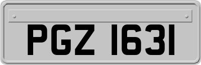 PGZ1631