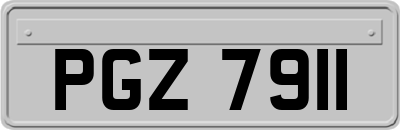 PGZ7911
