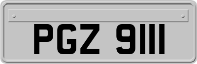 PGZ9111