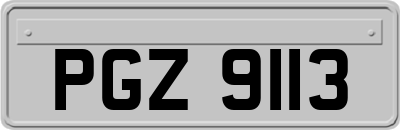 PGZ9113