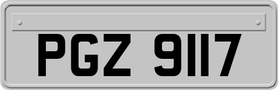 PGZ9117