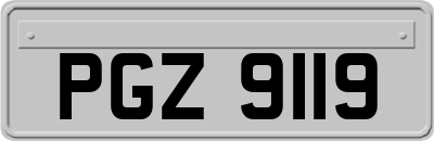 PGZ9119