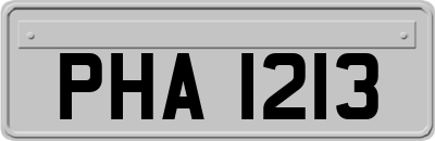 PHA1213