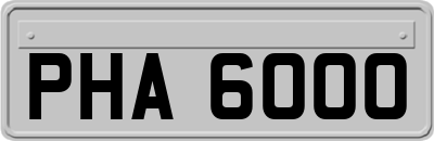 PHA6000