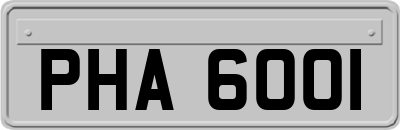 PHA6001