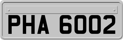 PHA6002