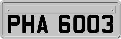 PHA6003