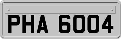 PHA6004