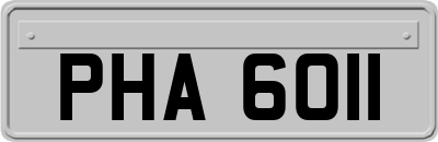 PHA6011