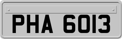 PHA6013