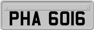 PHA6016