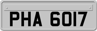 PHA6017