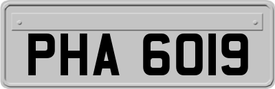 PHA6019