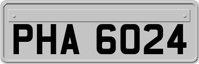 PHA6024