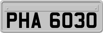 PHA6030