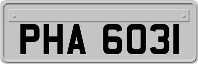 PHA6031