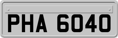 PHA6040