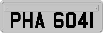 PHA6041