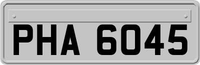 PHA6045