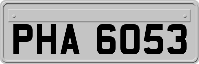 PHA6053