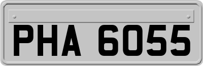 PHA6055