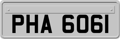 PHA6061