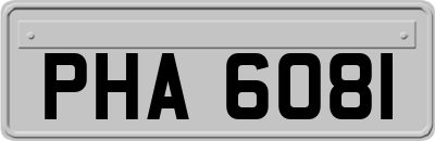 PHA6081