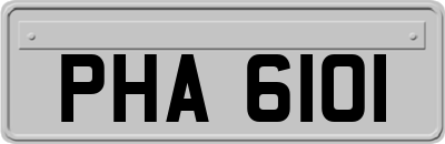 PHA6101