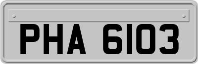 PHA6103