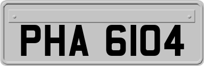 PHA6104