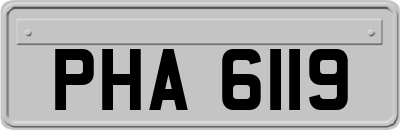 PHA6119