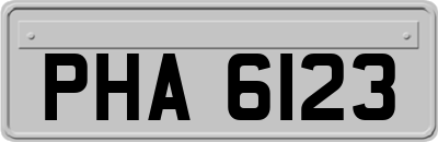 PHA6123