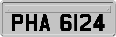 PHA6124